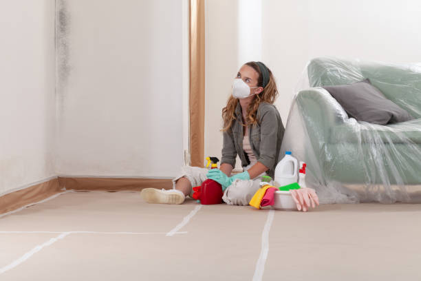 Reliable Crawl Space Mold Removal contractor in Friendsville, MD by WQB Mold Removal